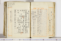 明い018010600005.jpg