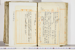 明い018010630002.jpg