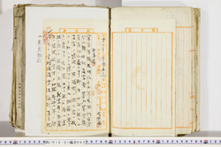 明い018010630003.jpg