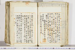 明い018010640016.jpg