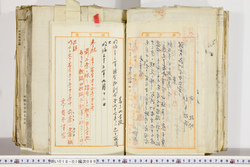 明い018010690002.jpg