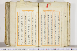 明い018010760008.jpg