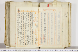 明い018010770011.jpg