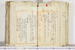 明い018010790002.jpg