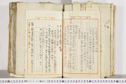明い018010790003.jpg