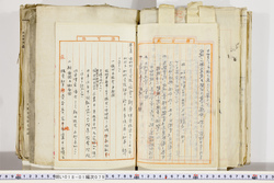 明い018010790004.jpg