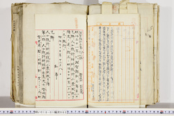 明い018010820002.jpg