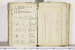 明い018020010008.jpg