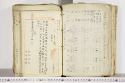 明い018020010009.jpg