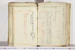 明い018020010010.jpg