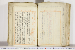 明い018020010011.jpg