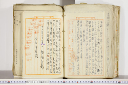 明い018020010012.jpg