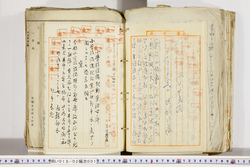 明い018020010013.jpg