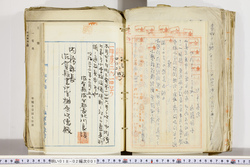 明い018020010014.jpg