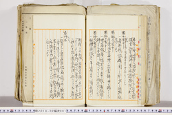 明い018020010040.jpg
