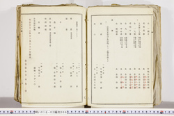 明い018020060006.jpg