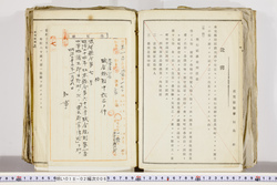 明い018020060008.jpg