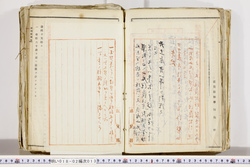明い018020130003.jpg