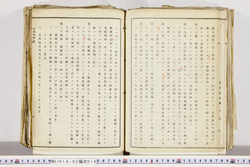明い018020160006.jpg