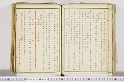 明い018020160007.jpg