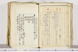 明い018020220002.jpg