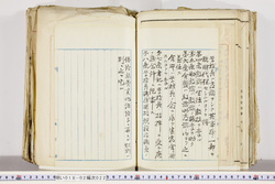 明い018020220003.jpg