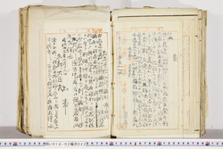 明い018020220005.jpg