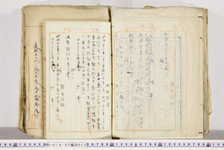 明い018020230003.jpg