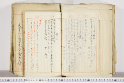 明い018020230004.jpg
