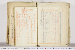 明い018020230005.jpg