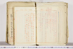 明い018020230006.jpg