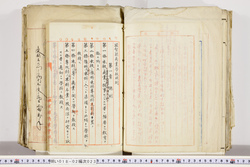 明い018020230007.jpg