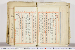 明い018020230008.jpg