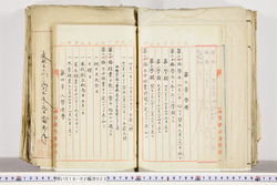 明い018020230011.jpg