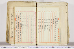 明い018020230014.jpg