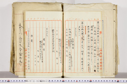明い018020230015.jpg