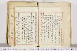 明い018020230018.jpg