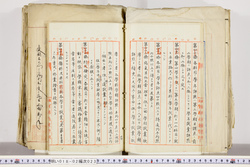 明い018020230020.jpg