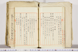 明い018020250010.jpg