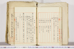 明い018020250012.jpg