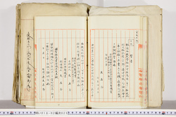 明い018020250014.jpg