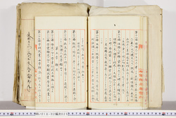 明い018020250015.jpg