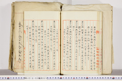 明い018020250016.jpg