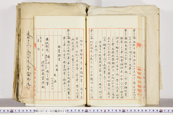 明い018020250017.jpg