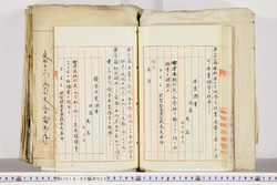 明い018020250018.jpg