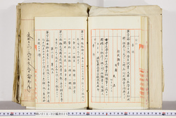 明い018020250019.jpg