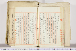 明い018020250021.jpg