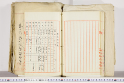 明い018020250023.jpg