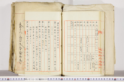 明い018020250024.jpg