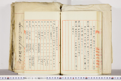 明い018020250025.jpg